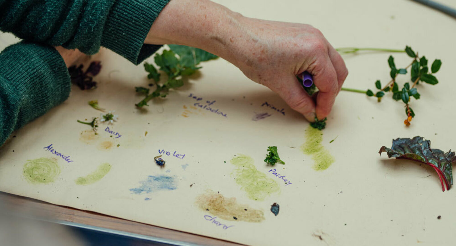 Dommoore 2024 takeaprt greenspace age feb 300dpi 0078